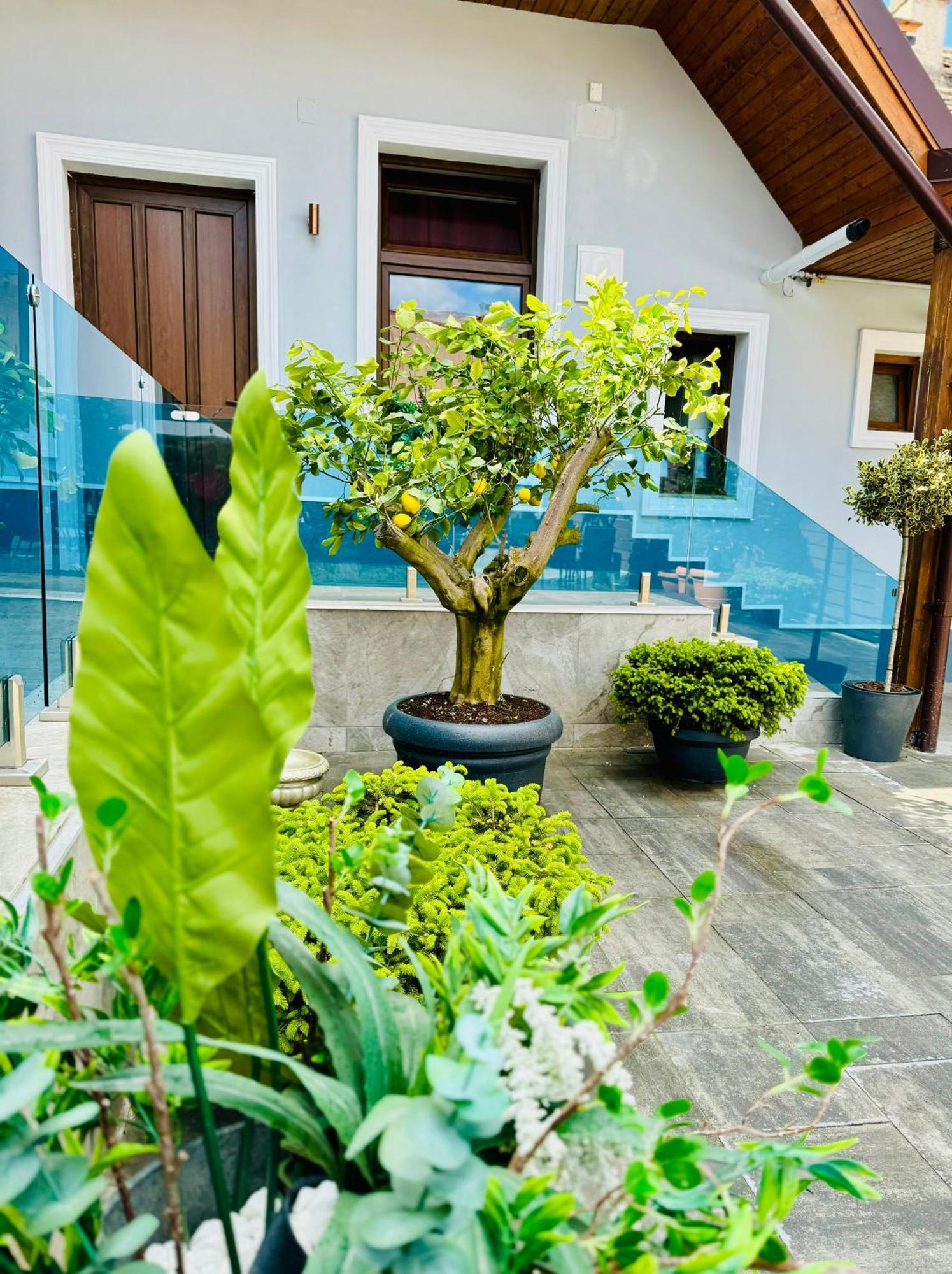 الشقق الفندقية سيبيوفي  Boutique 17B المظهر الخارجي الصورة